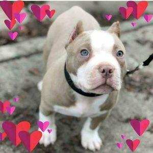 Meet your Posher, Ann